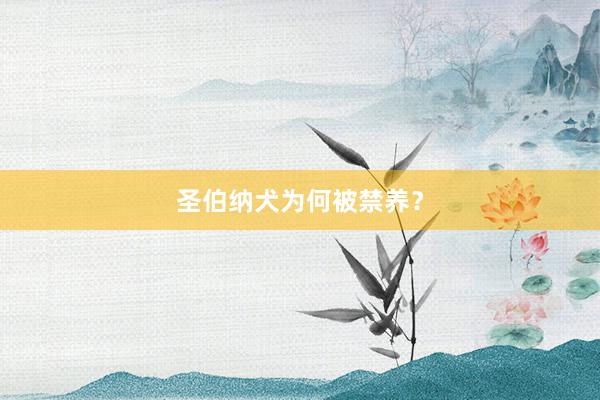 圣伯纳犬为何被禁养？