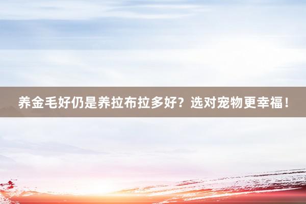 养金毛好仍是养拉布拉多好?选对宠物更幸福!