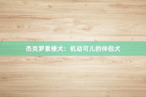 杰克罗素梗犬：机动可儿的伴侣犬