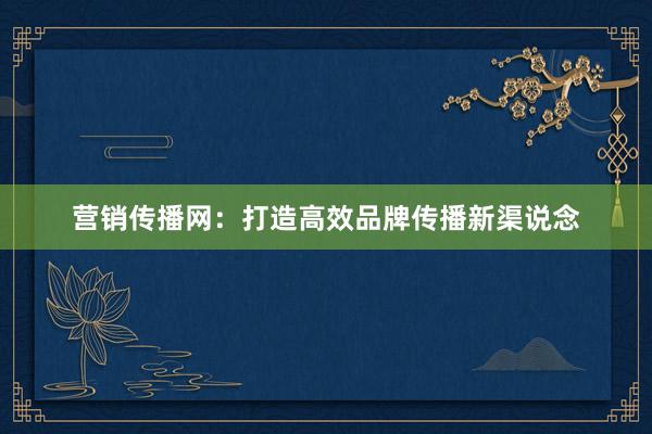 营销传播网：打造高效品牌传播新渠说念
